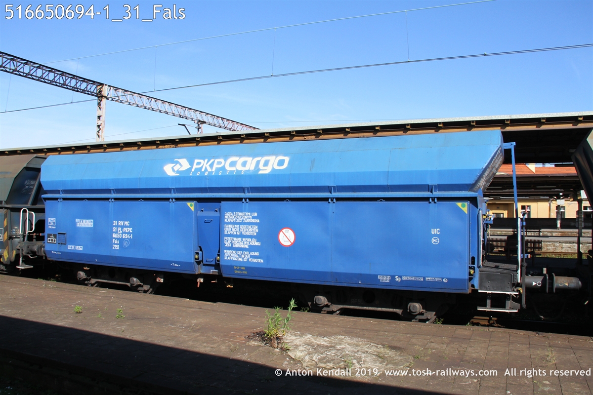 516650694-1_31_Fals.JPG